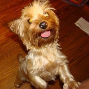 Meet your Posher, Kim